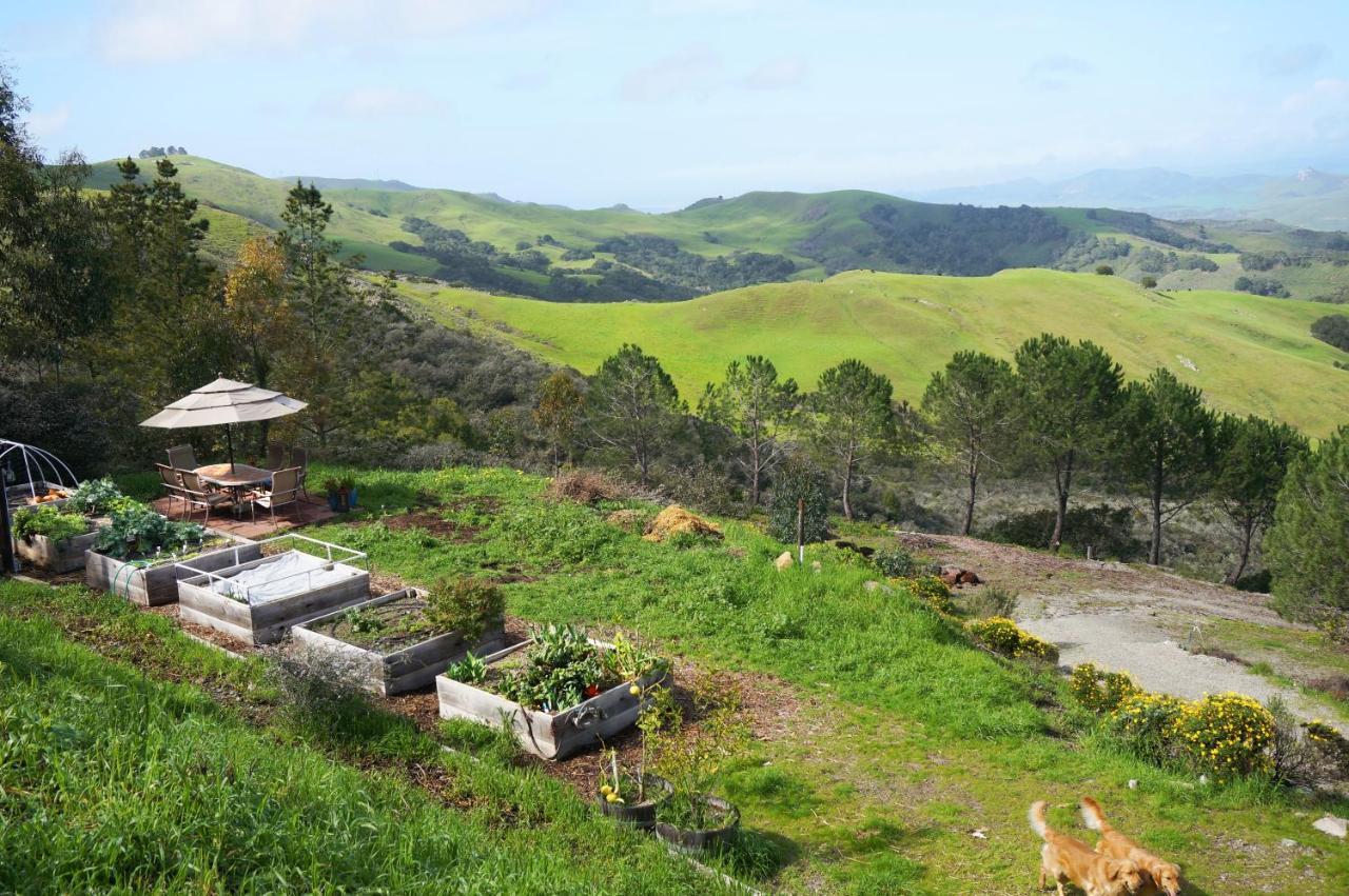 Mountain Top Getaway, Best View In Slo! - Whole House San Luis Obispo Bagian luar foto