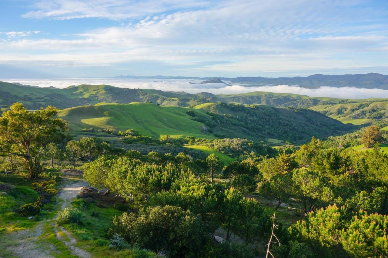 Mountain Top Getaway, Best View In Slo! - Whole House San Luis Obispo Bagian luar foto